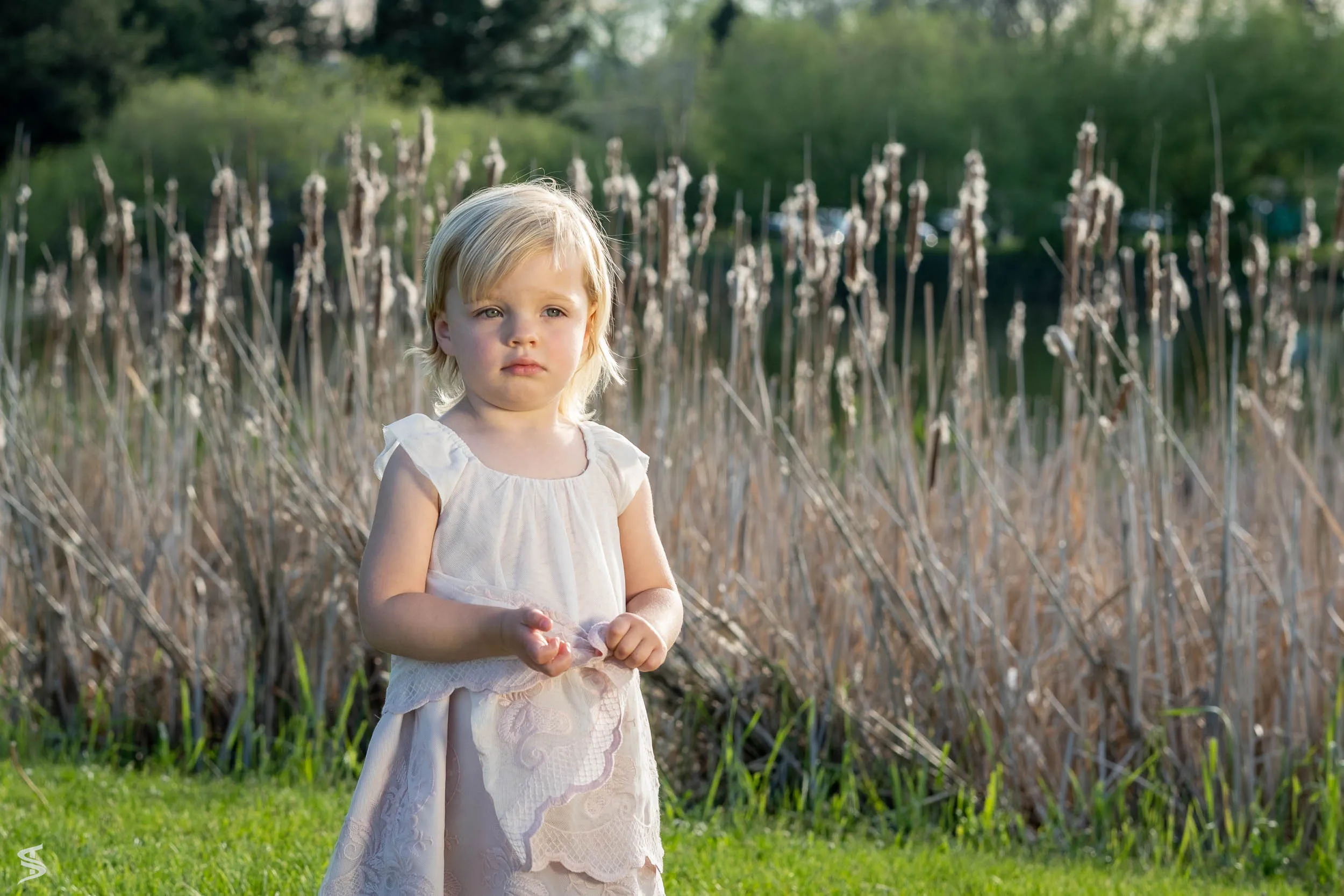 Young child in a pale dress standing on the grass beside tall lakeside reeds.