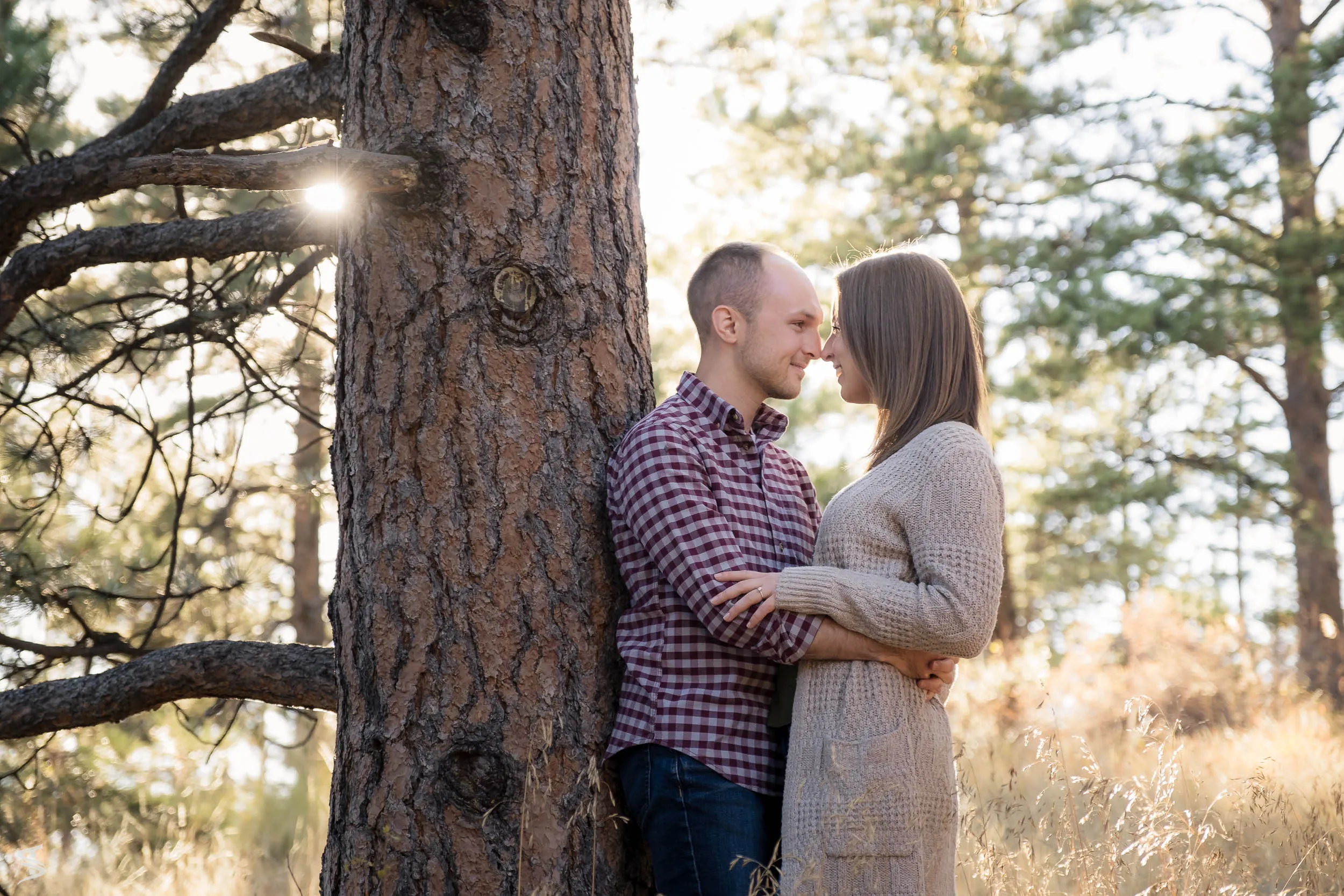Couple embracing beside a pine tree with sunlight filtering through the branches.