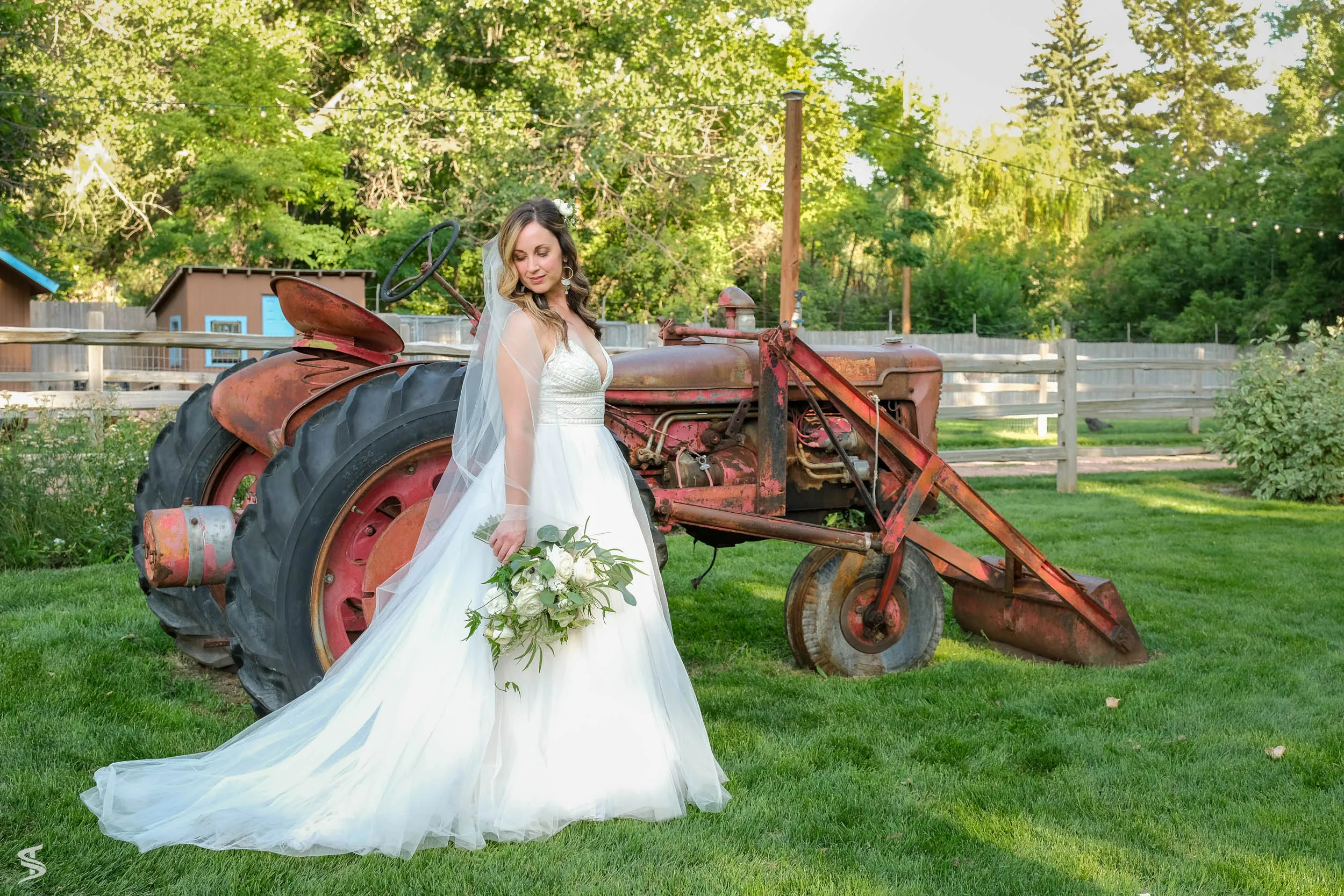 Bride holding a white and green bouquet beside a vintage red tractor, with her dress train spread across the grass.