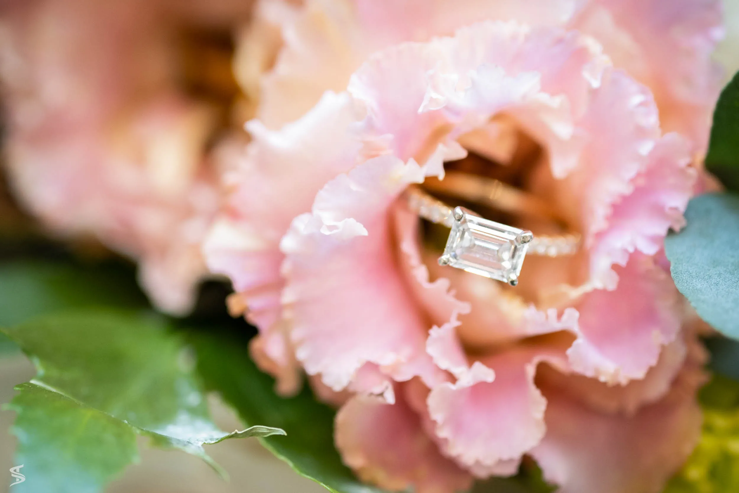 Close-up of a rectangular-cut engagement ring nestled inside a pink flower.