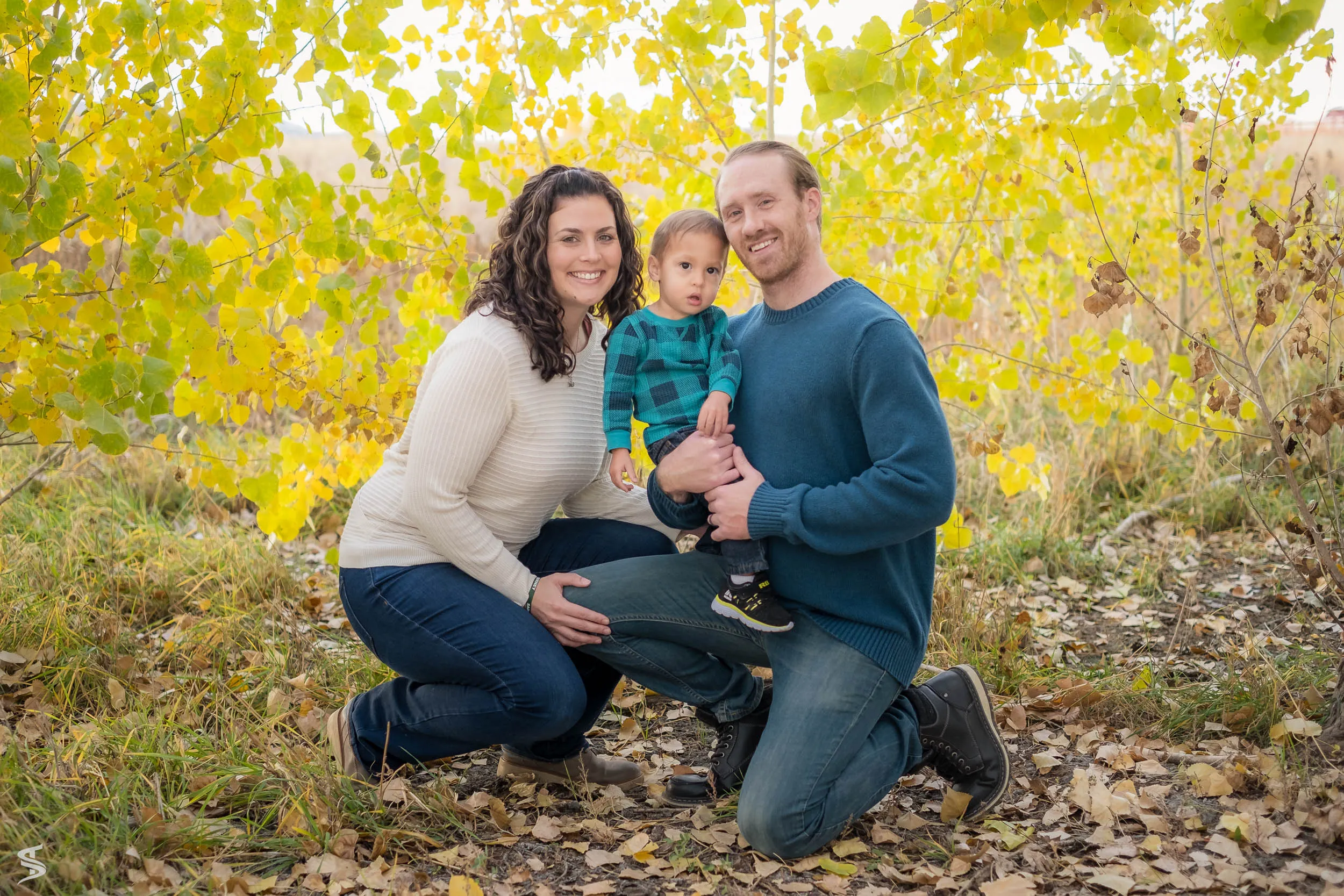Parents kneeling with their young child beneath bright yellow autumn leaves.